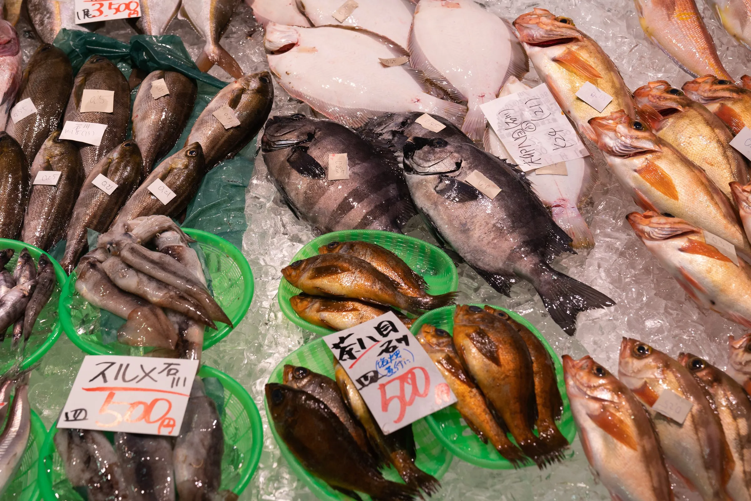 金沢港いきいき魚市